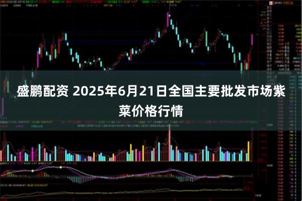 盛鹏配资 2025年6月21日全国主要批发市场紫菜价格行情