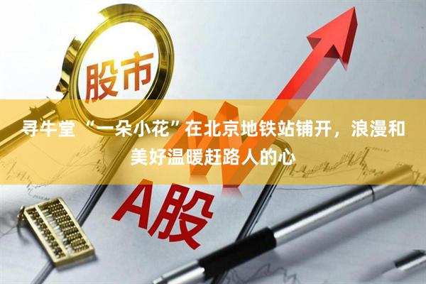 寻牛堂 “一朵小花”在北京地铁站铺开，浪漫和美好温暖赶路人的心