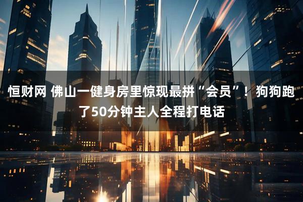 恒财网 佛山一健身房里惊现最拼“会员”！狗狗跑了50分钟主人全程打电话