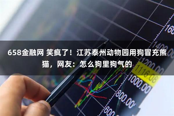 658金融网 笑疯了！江苏泰州动物园用狗冒充熊猫，网友：怎么狗里狗气的