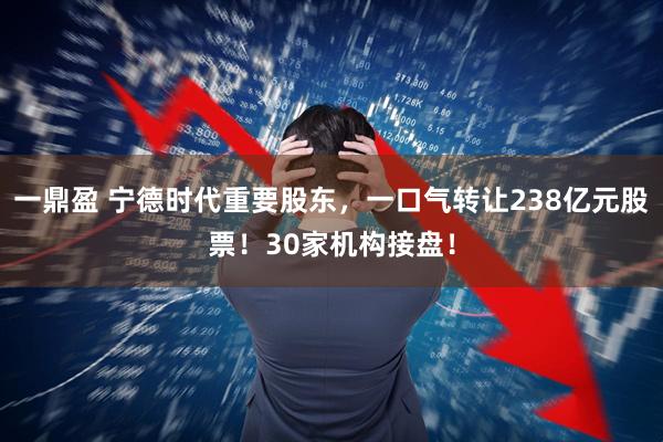 一鼎盈 宁德时代重要股东，一口气转让238亿元股票！30家机构接盘！