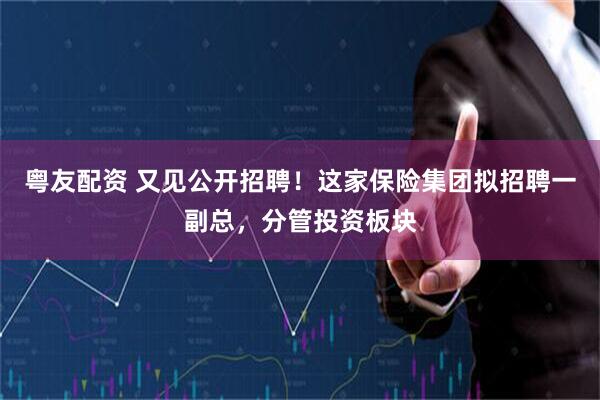 粤友配资 又见公开招聘！这家保险集团拟招聘一副总，分管投资板块